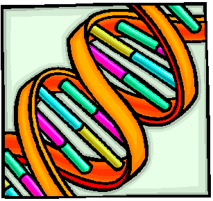 DNA analysis is sometimes required to distinguish the cane toad from other species, or even subspecies.  Image from Microsoft clipart.